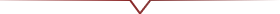 line_2-1-2-2-1.webp
